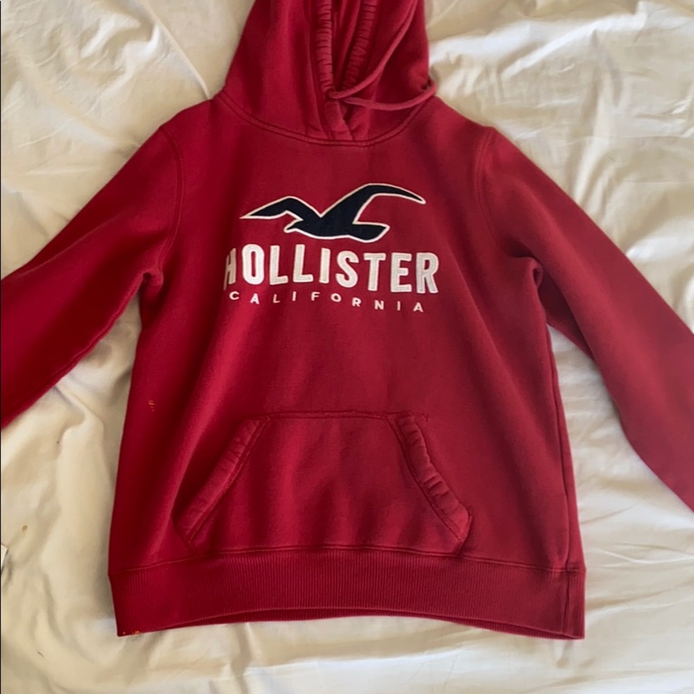 Hollister Hoodie